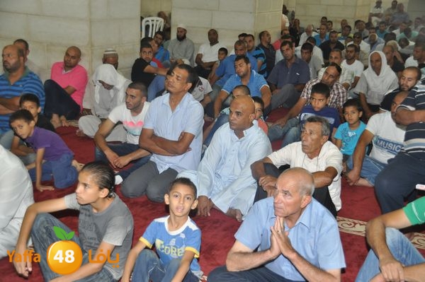 bazsalah lud 712 (6).JPG